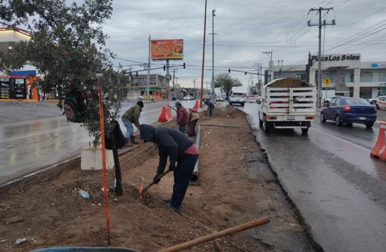 Modifica vialidades el Gobierno de Reynosa para lograr movilidad imparable