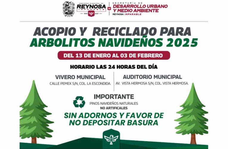 ¡No tires tu pino, el Gobierno de Reynosa lo recicla!