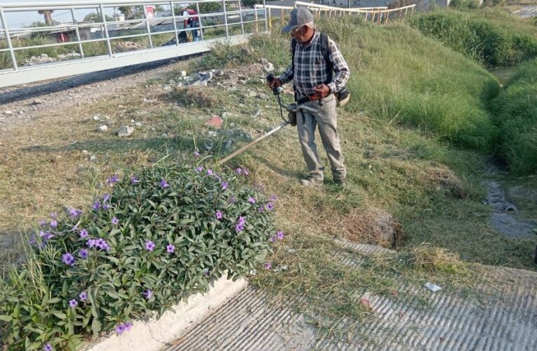 Desazolva Gobierno de Reynosa drenes y canales pluviales