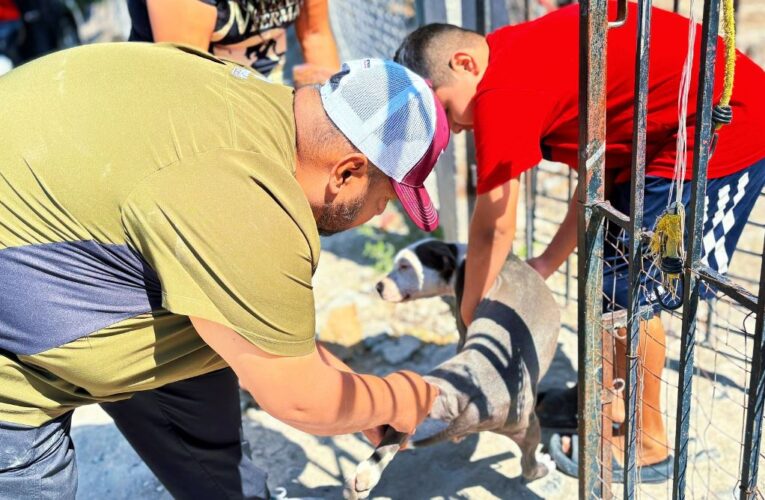 Atiende Gobierno de Reynosa a mascotas de zonas vulnerables