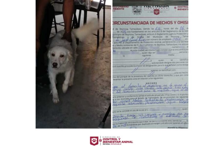 Exhorta Alcalde de Reynosa a dueños cuidar de sus mascotas