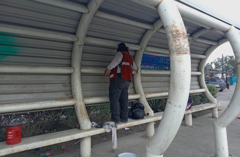 Mejoran Parabuses del transporte público en Reynosa