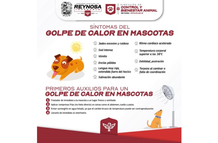 Exhorta Alcalde de Reynosa a cuidar salud de las mascotas