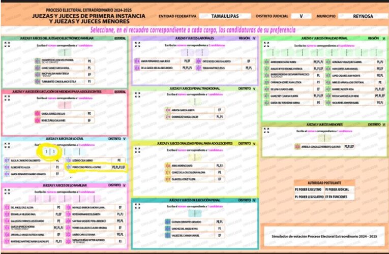 Proceso electoral extraordinario 2024-2025