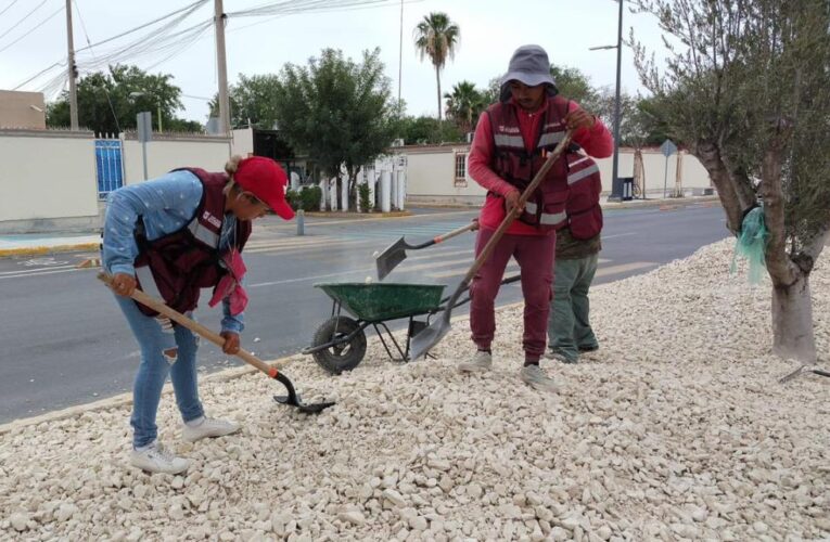 Avanza labor de embellecimiento del bulevar Lázaro Cárdenas