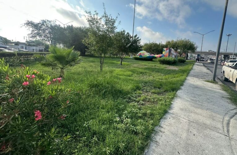 Desarrolla Municipio trabajo de limpieza en Monumento «Hecho en Reynosa»