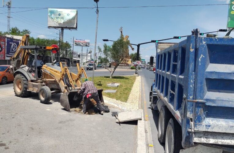 Notorio avance de rehabilitación de áreas verdes en Reynosa