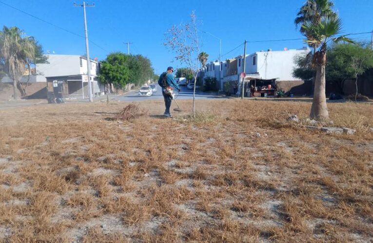 Imparable trabajo de limpieza y embellecimiento del Gobierno de Reynosa