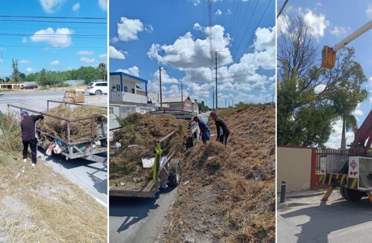 Actividades de mantenimiento del Gobierno Municipal de Reynosa