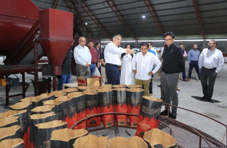 Avanza planta de combustibles limpios en Tamaulipas, con inversión de 6.5 MDD