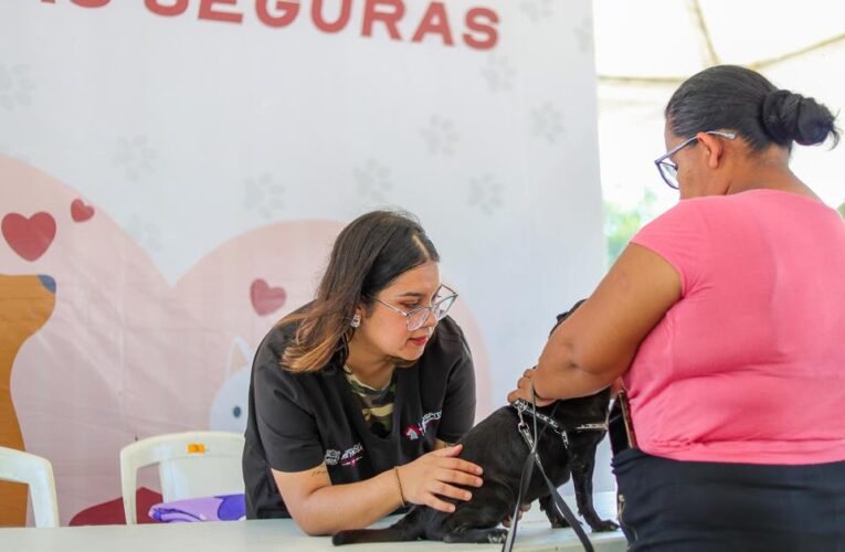 Imparable Gobierno de Reynosa por la salud de las mascotas