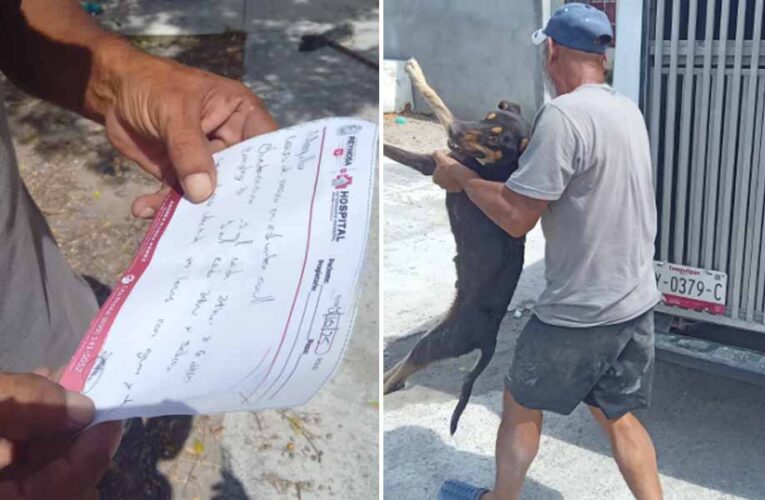 Atendió Hospital Veterinario Municipal de Reynosa a perrito