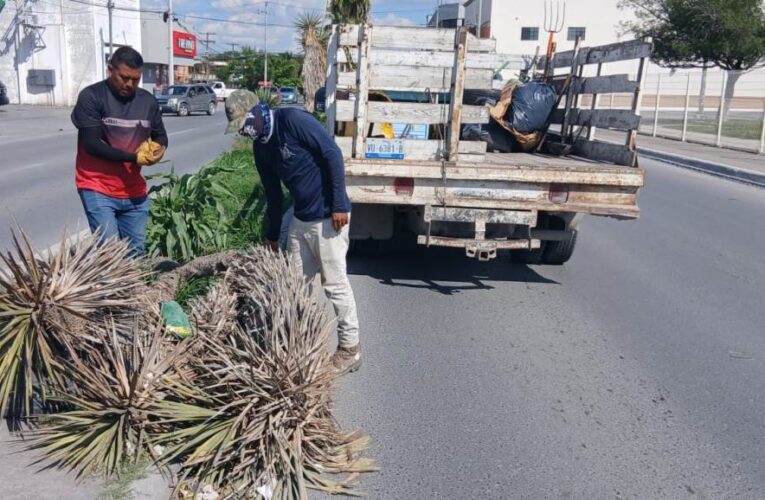 Continúa Gobierno de Reynosa con trabajo de limpieza y mantenimiento
