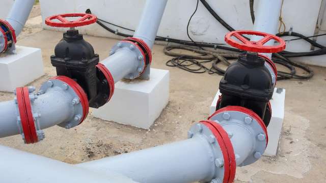 POLO ECONÓMICO TAMAULIPAS.