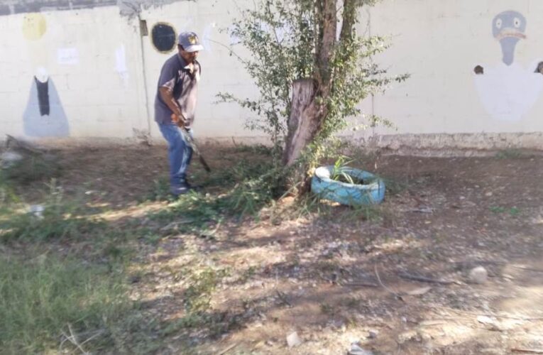 Podan cuadrillas municipales árboles, para seguridad de alumnos de escuela de Reynosa