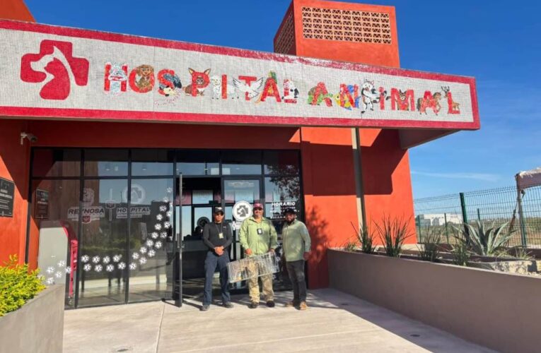 Escribieron Gobierno de Reynosa y ciudadanos una historia de amor y compasión