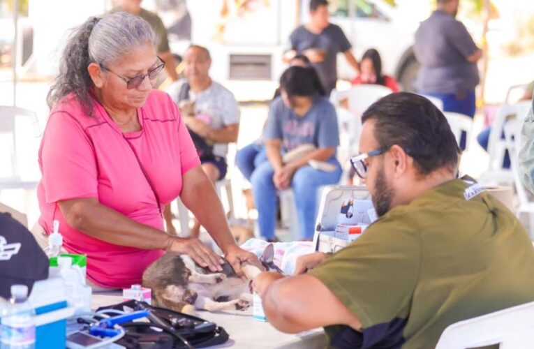 Mascotas sanas en Reynosa con programa veterinario del Alcalde Carlos Peña Ortiz