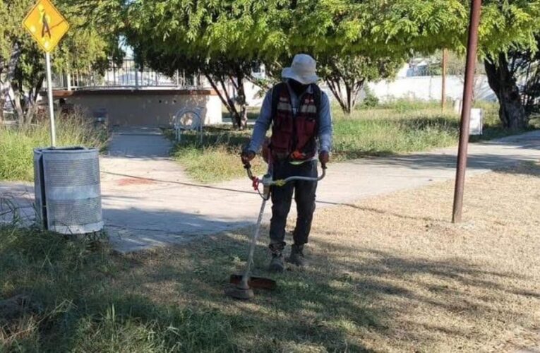 Efectúa Gobierno de Carlos Peña Ortiz actividades de limpieza y mantenimiento de Reynosa