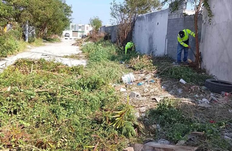 Promueve Gobierno de Reynosa entornos limpios para las familias