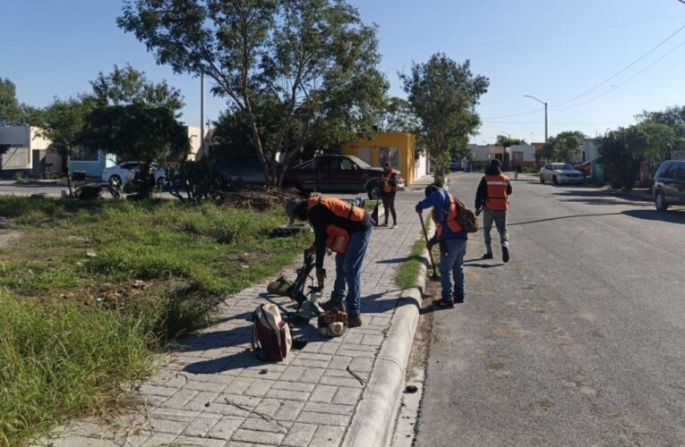 Realiza Gobierno de Reynosa ininterrumpida labor de mantenimiento