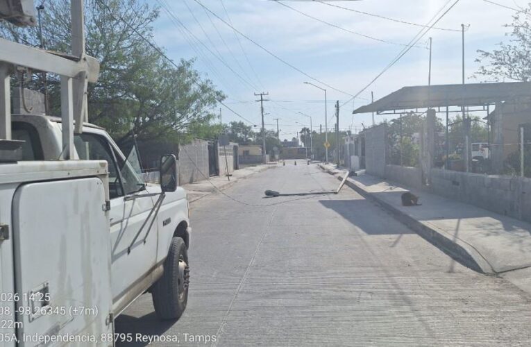 Recupera Gobierno de Reynosa postes del alumbrado público derribados por ventarrón