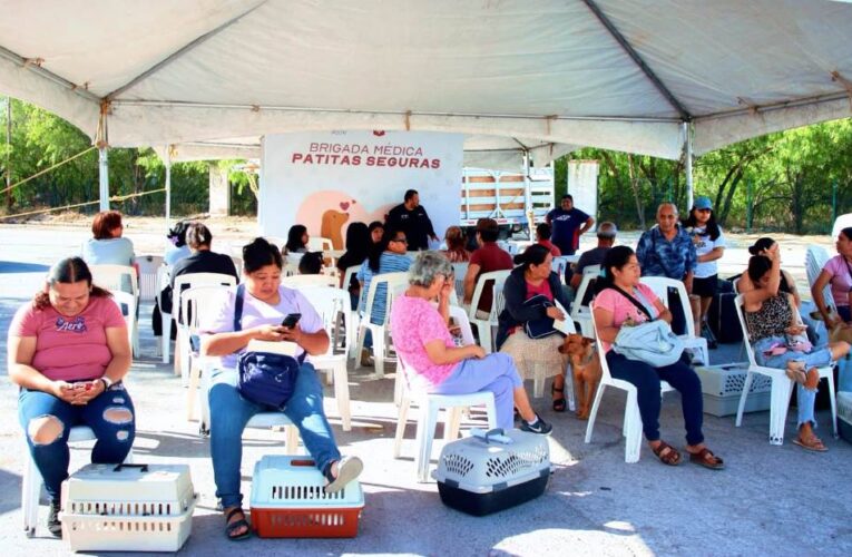 Trabaja Alcalde Carlos Peña Ortiz por una vida animal sana con la brigada «Patitas Seguras»