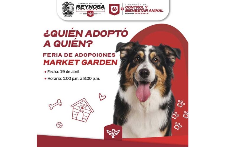 Feria de Adopciones brinda segunda oportunidad a mascotas que buscan hogar