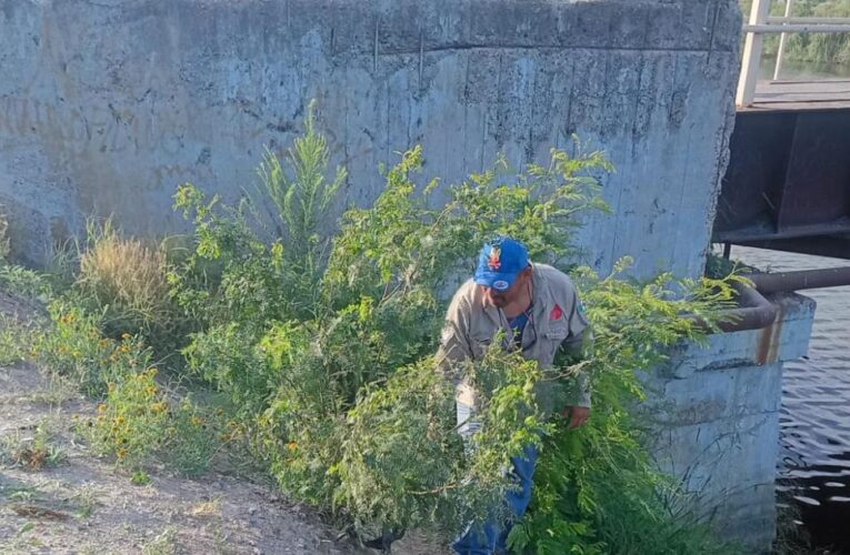 Realiza Gobierno de Reynosa trabajo de mantenimiento en el canal Anzaldúas
