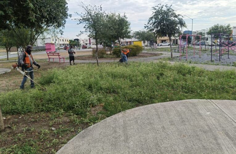 Realiza Gobierno de Reynosa limpieza y mantenimiento de áreas públicas