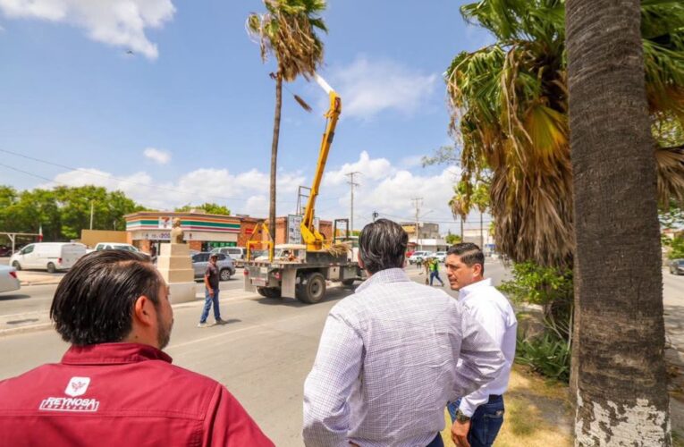 Constató Alcalde Carlos Peña Ortiz limpieza y poda en bulevar del Maestro