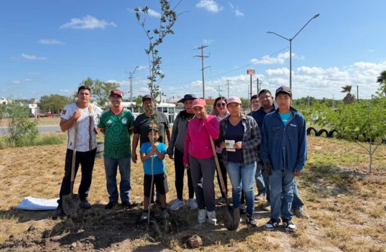 Reforesta Dirección de Medio Ambiente la colonia Ventura