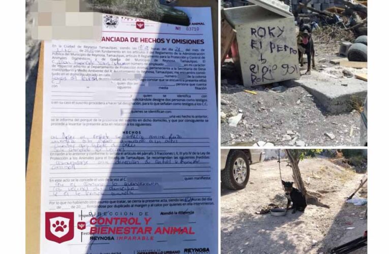 Imparable atención a mascotas de parte del Gobierno de Reynosa