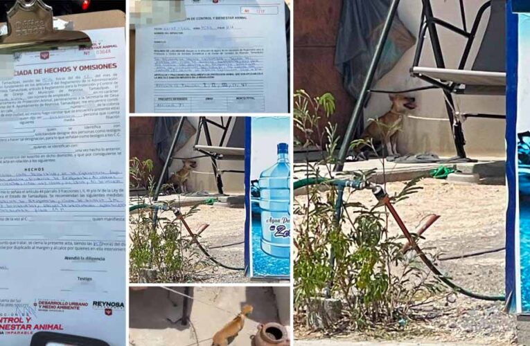 Aplicó Bienestar Animal sanción por descuidar mascota en Vista Alta