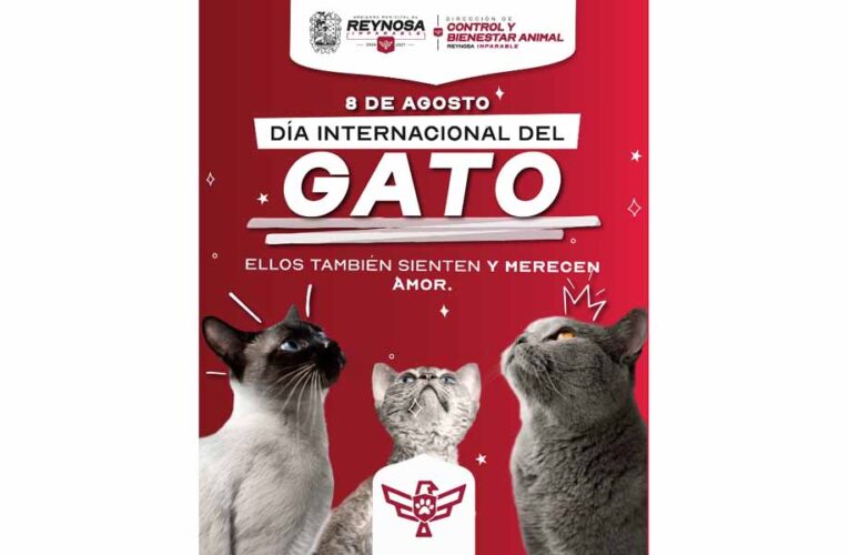 Exhorta Gobierno de Reynosa a no maltratar a los animales