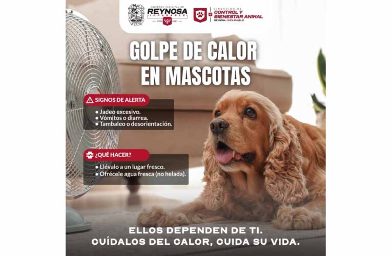 Fomenta Gobierno de Carlos Peña Ortiz cuidado de mascotas por altas temperaturas