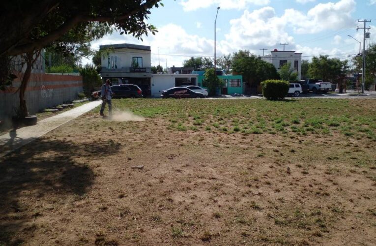 Realizó Gobierno de Reynosa limpieza y chapoleo en colonia Almendros