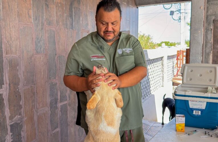 Llevó Gobierno de Carlos Peña Ortiz atención veterinaria al Refugio Mis Caramelos